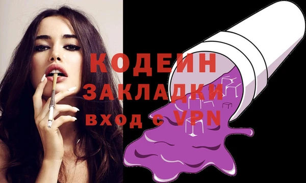 2c-b Ельня