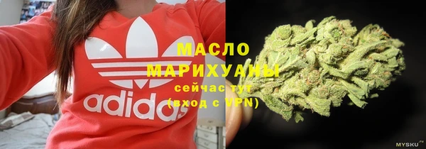 2c-b Ельня