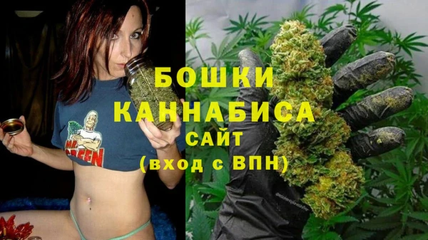 стаф Заводоуковск