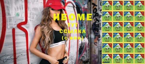 2c-b Ельня