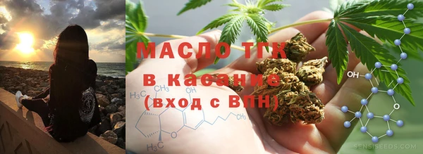 2c-b Ельня