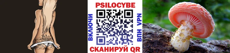 Псилоцибиновые грибы Cubensis  Купить  Гуково 